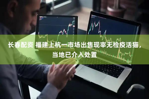 长春配资 福建上杭一市场出售现宰无检疫活猫，当地已介入处置