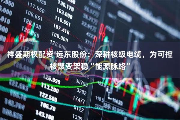 祥盛期权配资 远东股份：深耕核级电缆，为可控核聚变架稳“能源脉络”