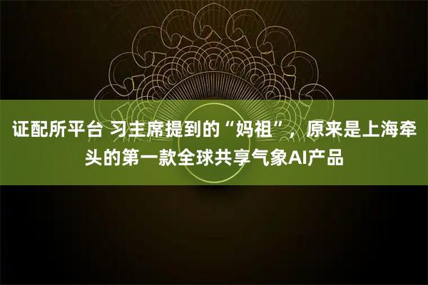 证配所平台 习主席提到的“妈祖”，原来是上海牵头的第一款全球共享气象AI产品